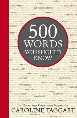Produktbild von 500 Words You Should Know