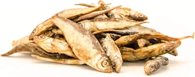 Produktbild von George & Bob's Omena Einzelfuttermittel für Hunde 1000g, reich an Omega 3 Fettsäuren, frei von Zusatzstoffen