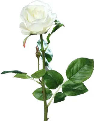 Produktbild von aplanta Künstliche Rose - Alexandros | 66 cm, Real Touch, für drinnen, Kunstblume, wie echt, Allergiker geeignet, pflanzliche Dekoration Praxis, Office & Wohnzimmer