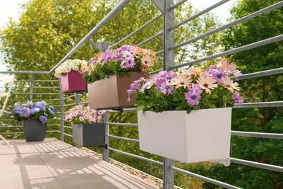Obrázek produktu pro LECHUZA BALCONERA Color 40, Květináč, Volně stojící, Recyklovaný plast, Šedá, Břidlicová barva, Obdélník, Vnitřní/venkovní