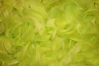 Immagine prodotto di Piume decorative, confezione da 1, verde mela