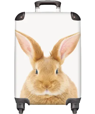 Obrázek produktu pro NoBoringSuitcases.com® Kufr Příruční zavazadlo Trolley Rolling suitcase Malý cestovní kufr na 4 kolečkách - Rabbit - Kids - Animals - Cabin Size < 55x40x23 cm & 55x40x20 cm - Foto kufr - Cabin suitcase - Board luggage - Kids suitcase - Kids trolley.