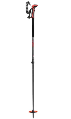 A single ski pole against a white background.