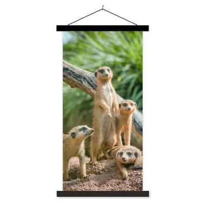 Produktbild von MuchoWow® Textilposter Erdmännchen - Familie - Tiere 40x80 cm mit schwarzem Rahmen - Wandemalerei