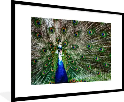 Produktbild von MuchoWow® Gerahmtes Poster Pfau - Federn - Weiß - Blau 90x60 cm - Poster mit Schwarzem Bilderrahmen Wandposter Rahmen Foto Bilder - Wanddekoration - Fotos