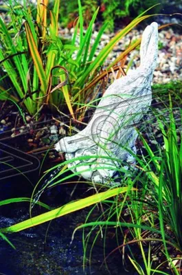 Immagine prodotto di Decorazione da giardino statua di furetto scultura figure sculture figure di design statue
