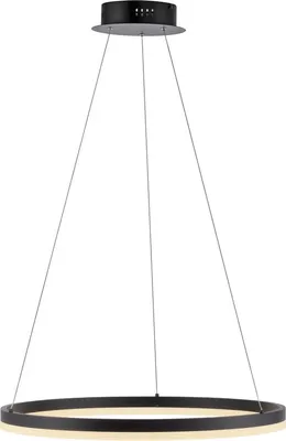 Produktbild von Paul Neuhaus LED Pendellampe TITUS Hängelampe rund dimmbar über Wandschalter warmweiß anthrazit Wohnzimmer, Küche, Esszimmer
