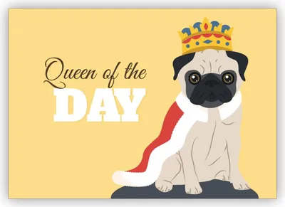 Produktbild von Lustige Geburtstagskarte mit Mops als König auch als motivierende Grußkarte für sie: Queen of the Day