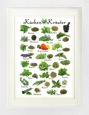 Produktbild von Kochkunst Gerahmtes Bild Mit Edlem Passepartout | Wand-Bilder | Im Bilderrahmen - Küchen-Kräuter (40 x 30 cm)