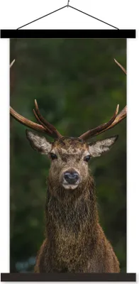 Produktbild von MuchoWow® Textilposter Hirsch - Geweih - Natur 60x120 cm mit schwarzem Rahmen - Magnete