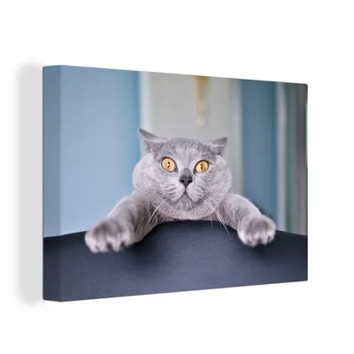 Obrázek produktu pro OneMillionCanvasses® Malba na plátně Nástěnná malba na plátně - Kočka - šedá - židle - 150x100cm