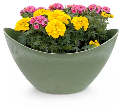 Produktbild von Hohe Pflanzschale oval Vintage oliv-grün 20 x 12 cm wetterfest