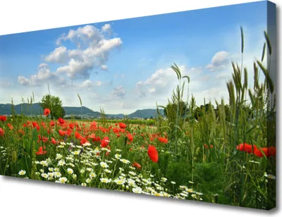 Produktbild von Tulup Leinwand-Bilder 100x50 Wandbild Canvas Kunstdruck Wiese Blumen Natur