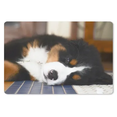 Produktbild von MuchoWow® Mauspad Mousepad Liebenswerter Berner Sennenhund schläft ein 27x18 cm - Mousepads - Maus Mat - Pad - Mausunterlage - Büroartikel - Desk Matten