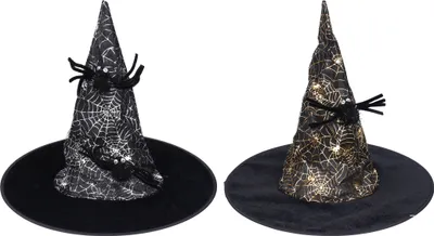 Produktbild von Karneval-Set – Hexenhut