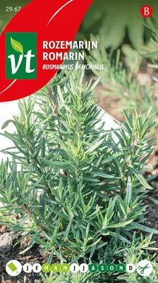 Immagine prodotto di Semi di rosmarino - circa 0,2 gr | VT_2967