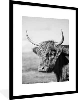 Produktbild von MuchoWow® Gerahmtes Poster Schottischer Highlander - Tiere - Schwarz - Weiß 60x80 cm - Poster mit Schwarzem Bilderrahmen Wandposter Rahmen Foto Bilder - Wohnzimmer - Dekorationen - Prämie