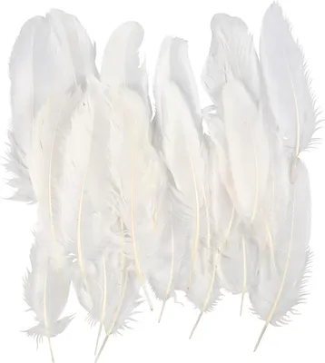 Image de Ressorts