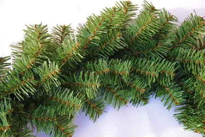 Productafbeelding van Decoratieve kerstkrans van kunstkerstboomtakken, geschikt als kerstdecoratie zowel binnen als buiten