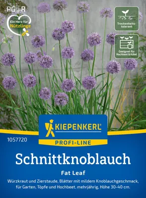 Artikelbild 2 von 'Schnittknoblauch Fat Leaf F1' aus der Kategorie Schnittlauchsamen
