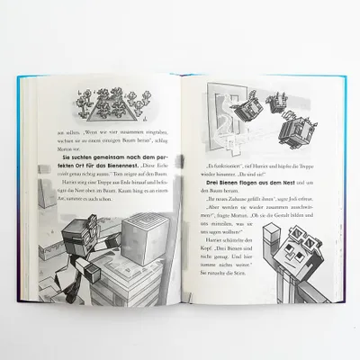 Obrázok produktu pre Minecraft Erste Leseabenteuer - Schwarm drüber