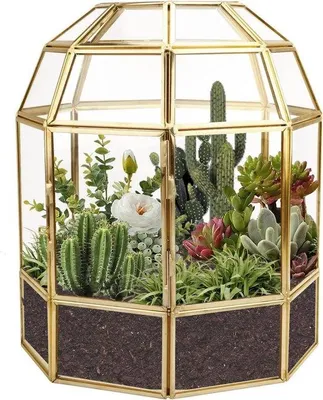 Produktbild von Famanu Terrarium Vogelkäfig aus Glas - schwarz, handgefertigt, 18 cm