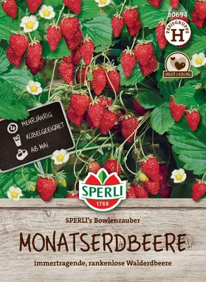 Immagine prodotto di Fragola mensile di SPERLI Bowlenzauber, perfetta per la merenda, semi di Sperli