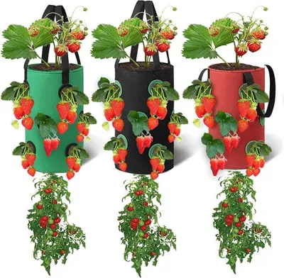 Obrázek produktu pro Sada 3 závěsných sáčků na sázení, sáčky na sázení s 12 prodyšnými otvory, na jahody, bylinky, květiny, zeleninu, 20 cm x 35 cm (červený, černý, zelený)