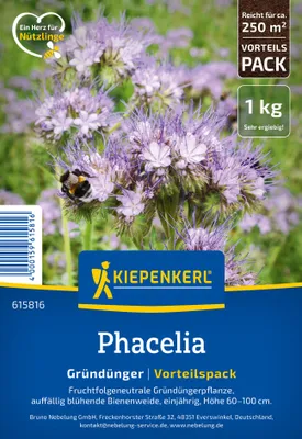 Produktbild von Phacelia Kiepenkerl Blumensamen 1 kg