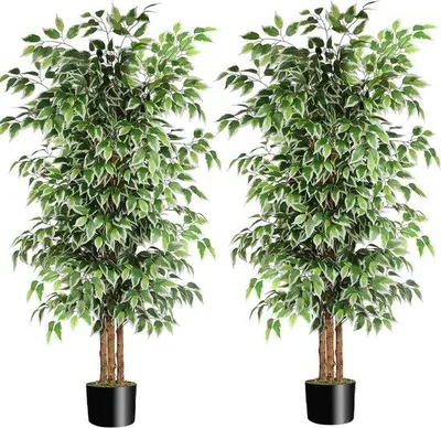 Obrázok produktu pre Umelý fikus – dekorácia do interiéru – realistická rastlina – výška 180 cm – zelená