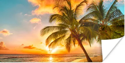 Produktbild von MuchoWow® Poster Sonnenuntergang - Palme - Wolken - Meer - Strand 40x20 cm - Poster für die Wand - Poster Schlafzimmer