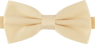 Produktbild von Ladeheid Herren Schmale Herrenfliege M (12cm x 6cm)