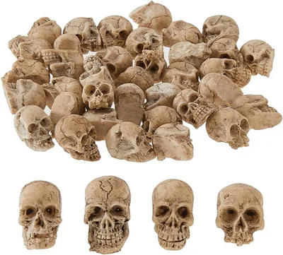 Productafbeelding van 40 mini-schedelbeeldjes, hars, decoratieve schedel, skeletkop, Halloween-thema, kleine schedelminiatuurbeeldjes voor landschapsdecoratie en potplanten