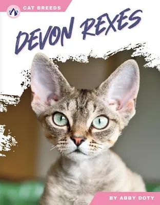 Produktbild von Devon Rex-Katzen