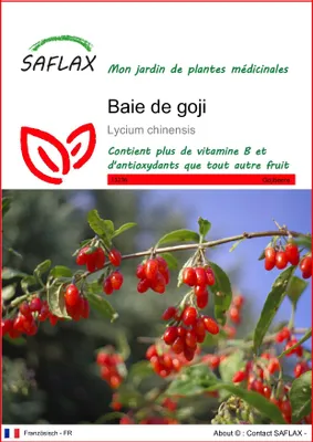 Image de SAFLAX  - Baie de goji - 200 graines - Lycium