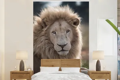 Produktbild von MuchoWow® Fototapete für Wohnzimmer oder Schlafzimmer Wandtapete Vinyl Motivtapete Löwe - Tier - Weiß - 225x350 cm - Schlafzimmer tapete