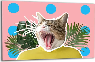 Produktbild von Herdabdeckplatte Glaskeramikkochfeld-Abdeckung Spritzschutz Glas 80x52 Katze