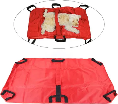 Immagine prodotto di Barella per animali - Barella pieghevole per il trasporto e il soccorso - Leggera 500 g - Per cani, gatti, conigli - Morbida e comoda - Facile da pulire e trasportare
