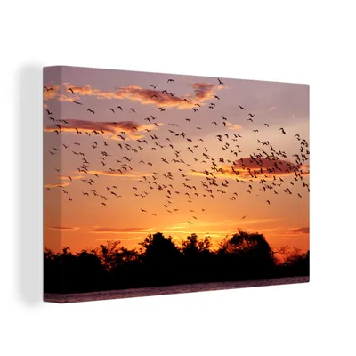 Produktbild von OneMillionCanvasses® - Leinwandbilder - 150x100 cm, Reiherschwarm über dem Tapajos-Fluss, Brasilien, Wandbilder Kunstdruck Wanddekoration