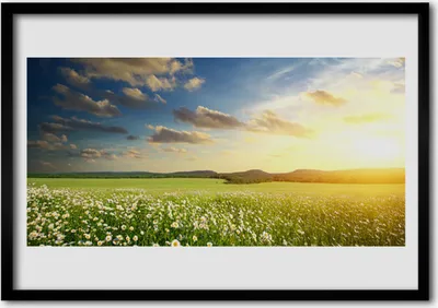 Produktbild von Bild 70x50 MDF-Rahmen Wandkunst Blumen Wiese Landschaft