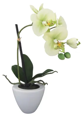 Produktbild von Kunstblume Phalaenopsis. Orchidee im Keramiktopf. ca 36cm. GRÜN