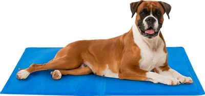 Produktbild von maxxpro Pet Comfort Kühlmatte Hund Größe L - 50 x 65 cm - Mittelgroße Hunde - Ungiftig - Sofortige Kühlung - Blau