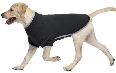 Obrázok produktu pre Psový kabát z fleece, tmavosivý, veľkosť M