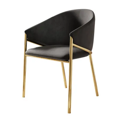Produktbild von Polsterstuhl FANCY, Bluvel Schwarz 19 / goldene Beine