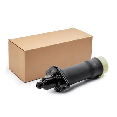 Produktbild von RIDEX 4119A0121 Luftfederung Luftfeder für AUDI Allroad (4BH, C5) Hinten Rechts