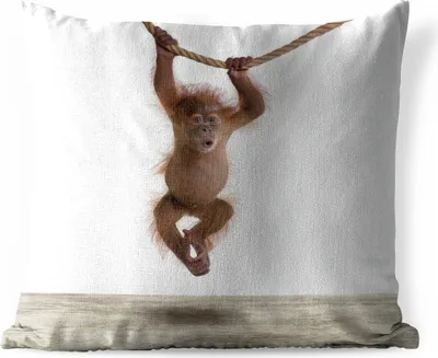 Produktbild von MuchoWow® Outdoor Kissen - Affe - Tiere - Kinder - Orang Utan - Jungen - Mädchen - 60x60 cm - Wetterfest - Lounge Kissen - Dekoration - Schlaf Kissen