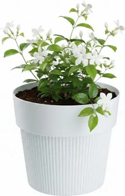 Immagine prodotto di HowHomely | Vaso per piante - Coprivaso - 12 x 14 cm - bianco - Vaso da fiori - in materiale riciclato - Struttura scanalata