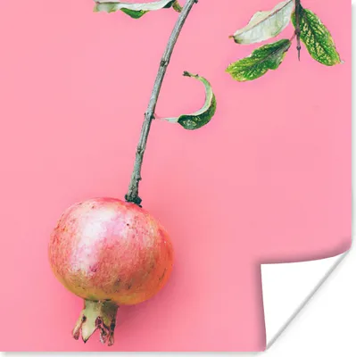 Produktbild von MuchoWow® Poster Pflanzen - Sommer - Rosa 75x75 cm - Wand Dekoration