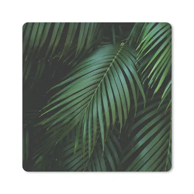 Produktbild von MuchoWow® Mauspad Mousepad Palmenblätter - Palmen - Tropisch 20x20 cm - Mousepads - Maus Mat - Pad - Mausunterlage - Desk Mat - Bureauartikeln