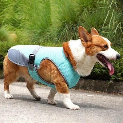 Produktbild von Kleiner Hundekühler für kleine bis mittelgroße Hunde, blau, atmungsaktiver Sommeranzug